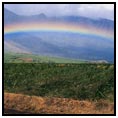 Maui